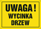 wycinka drzew, rekultywqacja terenu, mulczowanie,utylizacja - 11