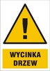 wycinka drzew, rekultywqacja terenu, mulczowanie,utylizacja - 12