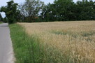 działka budowlana Zagrody Przybysławice - 2