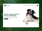 Projektowanie stron internetowych - 3