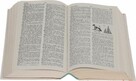 Gigantyczny słownik NEW WEBSTERS DICTIONARY - 1820 stron - 3