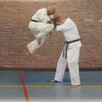 OYAMA, BRUIN - Budo Karate+Kyokushin Kihon+Kata /Cook - 10