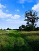 Sprzedam działkę rolno-budowlaną nad jeziorem o pow 2977 m2 - 9