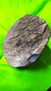Meteoryt Historyczny kamienno żelazny - 8