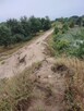 Sprzedam piasek - 2
