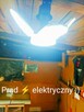 Zaciszna i dorodna EKO działka, Woda, prąd, dobry dojazd! :) - 4