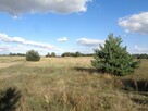 Skulsk – Działki z warunkami zabudowy - 3