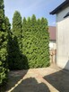 dom w Wygnańczycach 7 km od Wschowy - 3