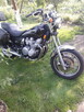 Kawasaki LTD 700 - 5