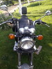 Kawasaki LTD 700 - 9