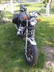 Kawasaki LTD 700 - 3