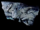 Tło do akwarium 3d pod każdy wymiar - 14