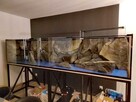 Tło do akwarium 3d pod każdy wymiar - 12