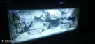 Tło do akwarium 3d pod każdy wymiar - 10