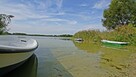 Urokliwe miejsce nad Jeziorem Głuszyńskim - 16