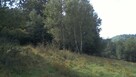 Zawoja, działka budowlana - 4