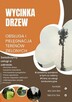 Wycinka drzew, pielęgnacja oraz obsługa terenów zielonych - 1