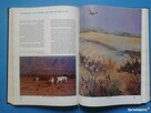 Fauna Biblii חלום שהתגשם :עולם החי של ארץ התנ&quot;ך - 4