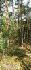 Działka leśna 4000m2 Sulejówek/Długa Szlachecka - 6