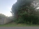 Radomsko Wygoda działka budowlano - rolna 3960 m z lasem - 3