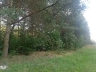 Radomsko Wygoda działka budowlano - rolna 3960 m z lasem - 2