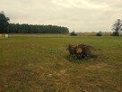 Sprzedam działkę budowlaną - Miękisz Nowy/gm. Laszki - 2