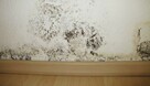 Osuszanie ścian budynku, likwidacja wykwitów wilgoci Lublin - 2