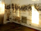 Osuszanie ścian budynku, likwidacja wykwitów wilgoci Lublin - 5