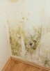 Osuszanie ścian budynku, likwidacja wykwitów wilgoci Lublin - 6