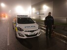 Szkolenia psów Nowy Sącz, Licencjonowany Transport Zwierząt - 12