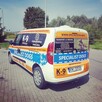 Szkolenia psów Nowy Sącz, Licencjonowany Transport Zwierząt - 9