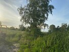 Działka budowlana Kiekrz gm. Rokietnica, Jodłowa - 3