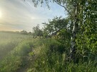 Działka budowlana Kiekrz gm. Rokietnica, Jodłowa - 4