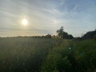Działka budowlana Kiekrz gm. Rokietnica, Jodłowa - 5