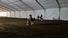 Hala namiotowa aluminiowa 15x30m, magazyn, ujeżdżalnia - 5