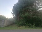 Radomsko Wygoda Piękna działka budowlano-rolna 3960m z lasem - 2