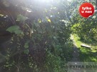 Duże z z ogrodem i dwoma garażami po remoncie - 14