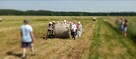 Wycieczki szkolne i przedszkolne - Osada Borki agroturystyka - 4