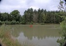 grunt ze stawem, działka - 2