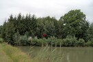 grunt ze stawem, działka - 3