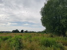 Działka pod zabudowę pod Sochaczewem - 9