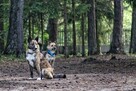 Sunia Lusia szuka swojego człowieka, adoptuj 5l. 15kg - 14