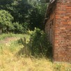 Dom 80m2 do remontu ,rozbudowy działka z lasem budowlana - 6