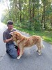 Zębatek duże, puchate cudo do adopcji 7l. 35kg - 3