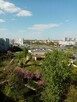 Duża jedynka dla kobiety od zaraz - 3