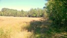 Działki pod zabudowę jednorodzinną, Kwilno gmina Zgierz - 3