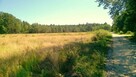 Działki pod zabudowę jednorodzinną, Kwilno gmina Zgierz - 2