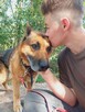 Piękny, spokojny onek AXEL szuka domu na zawsze 8l. - 8