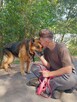 Owczarek niemiecki Axel szuka domu na zawsze 8l. 30kg - 8