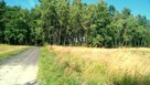 Działki pod zabudowę jednorodzinną, Kwilno gmina Zgierz - 4